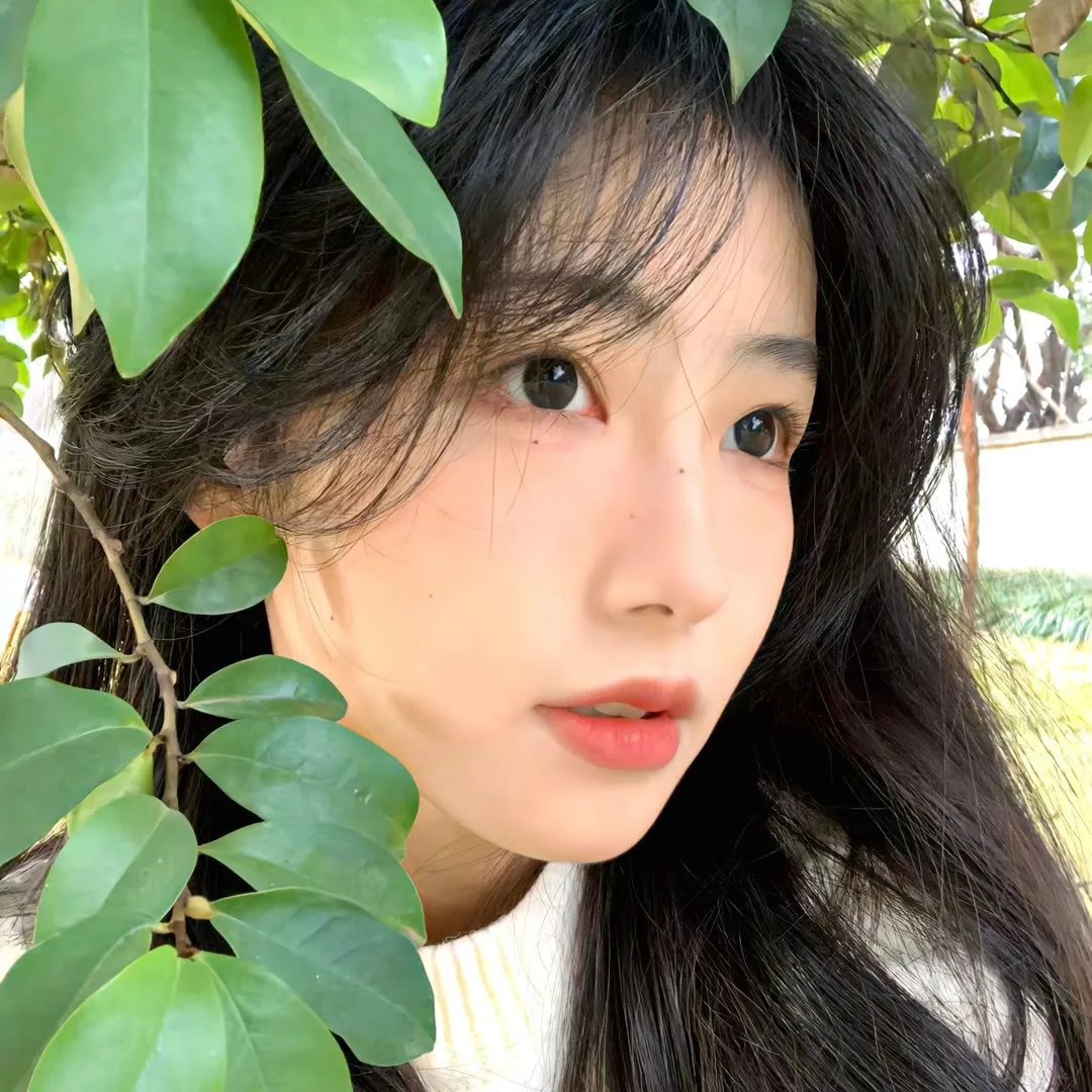 有风在唱歌